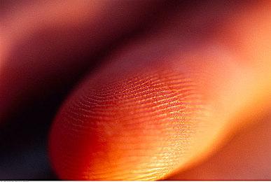 微软公布定制索尼克主题XSS＆Xbox手柄